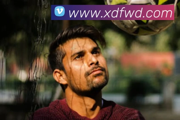 问鼎官网入口服务体系